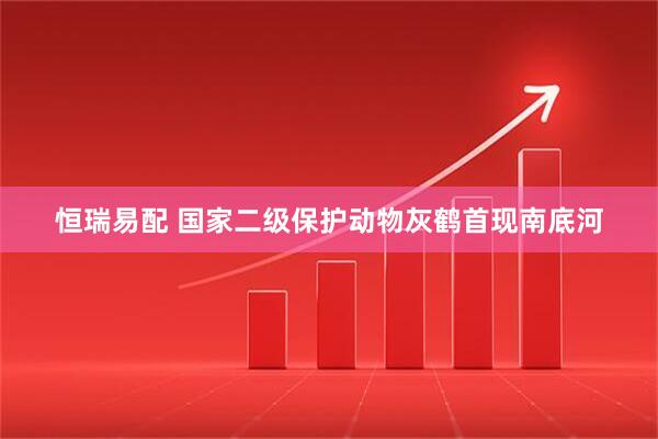 恒瑞易配 国家二级保护动物灰鹤首现南底河