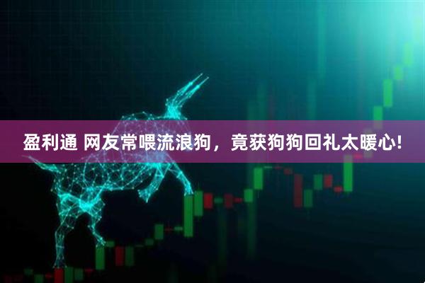盈利通 网友常喂流浪狗，竟获狗狗回礼太暖心!