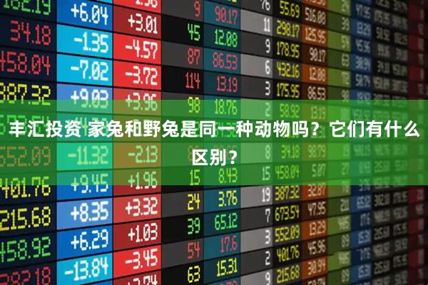 丰汇投资 家兔和野兔是同一种动物吗？它们有什么区别？