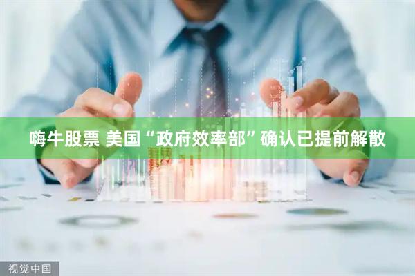 嗨牛股票 美国“政府效率部”确认已提前解散
